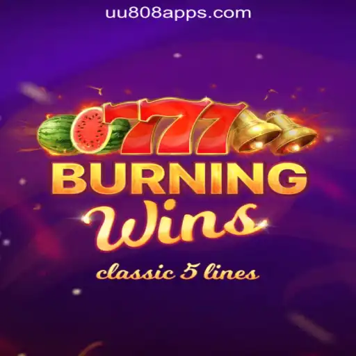Exploring the Exciting World of BurningWins Slots